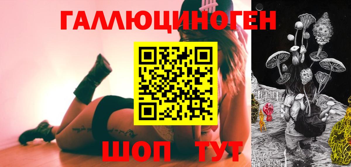 Галлюциногенные грибы GOLDEN TEACHER  Вход с VPN  Братск  Галлюциногенные грибы прущие грибы 